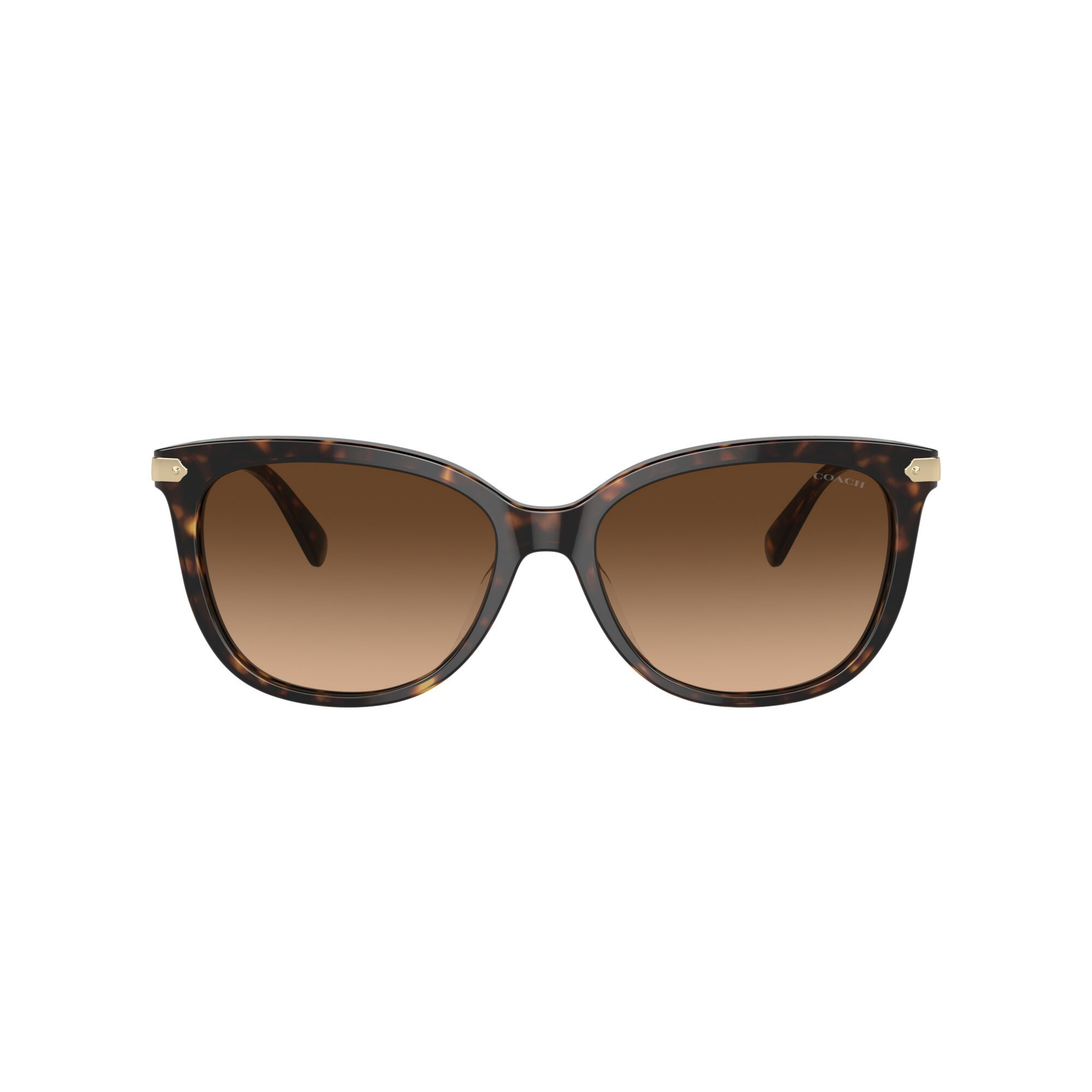 Product 51487 KEP3NPAACVOQ4AQFIIUGADIAAAJUAAAB image